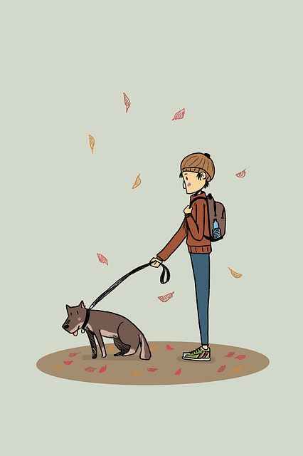 dog walking,flashlight,dog
