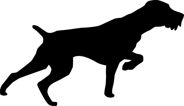 flashlight, hunting, survival
