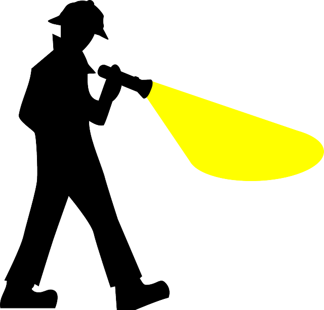 flashlight, hunting, survival
