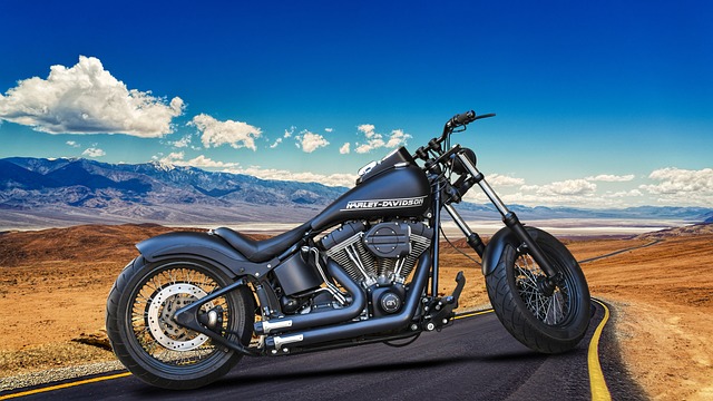 harley davidson,motorcycle,motorbike