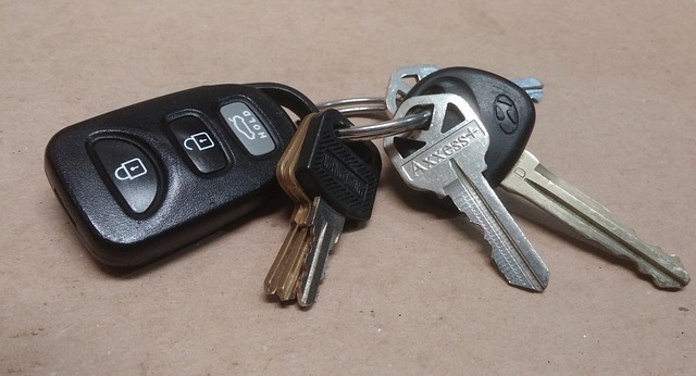 key fob,car fob,button battery