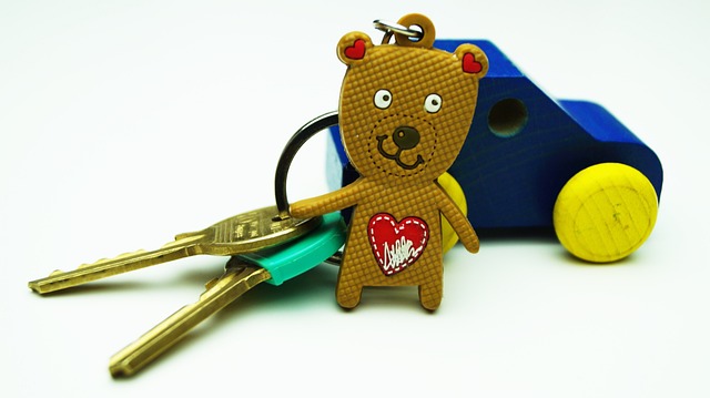 key fob,car fob,button battery