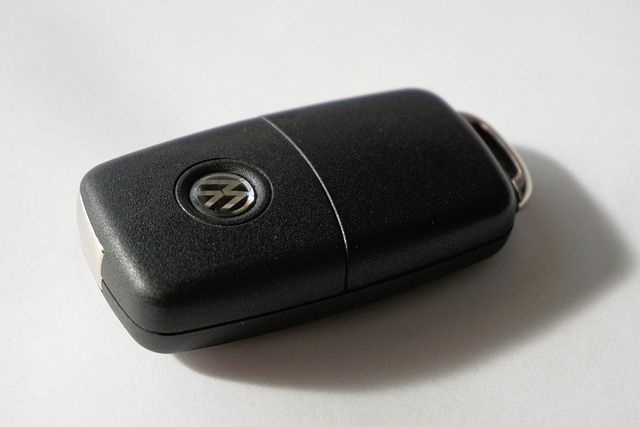 key fob,car fob,button battery