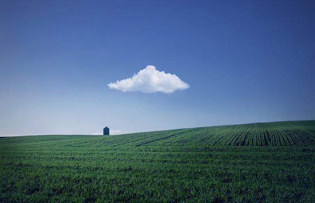tractor,farm vehicles,farming