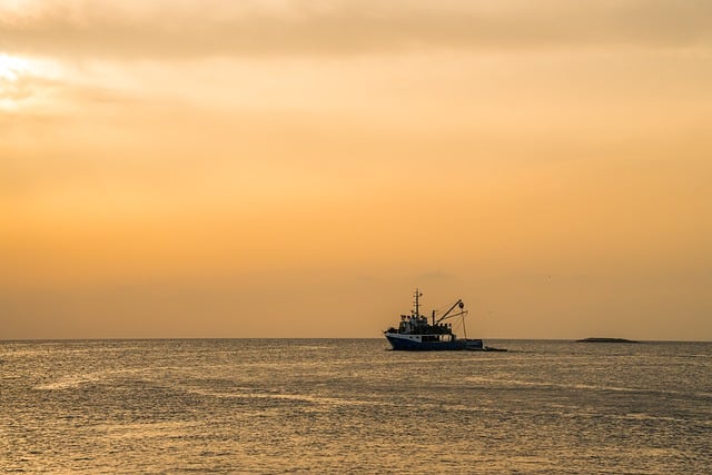 boat,ship,jetski