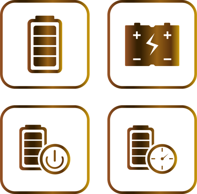 button cell battery, key fob