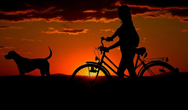 dog walking,flashlight,dog