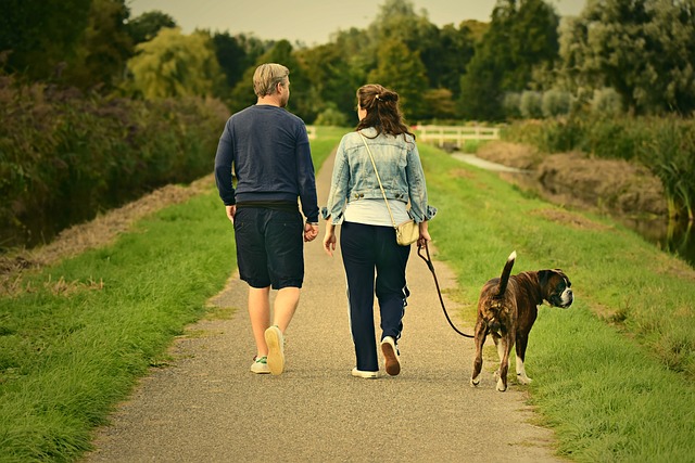 dog walking,flashlight,dog
