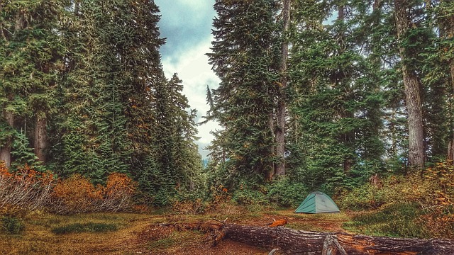 flashlight, camping, outdoors