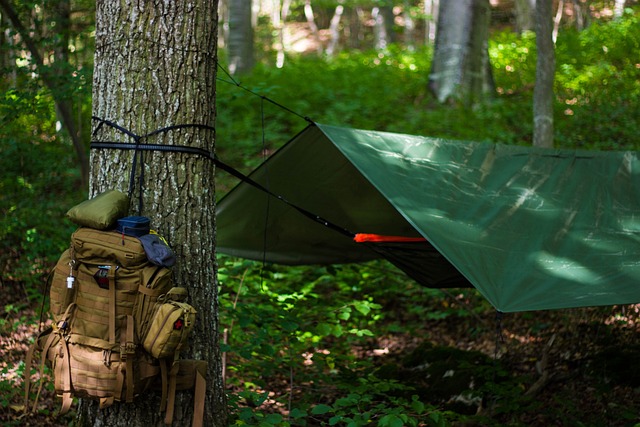 flashlight, camping, outdoors