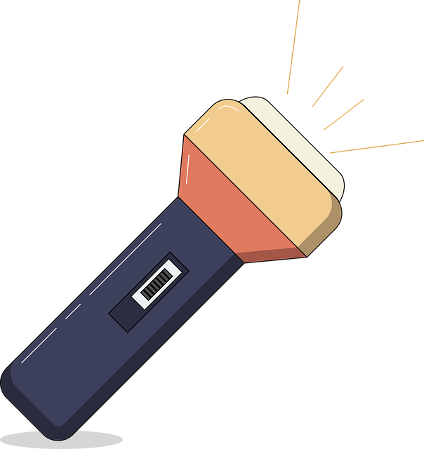 flashlight, emergency