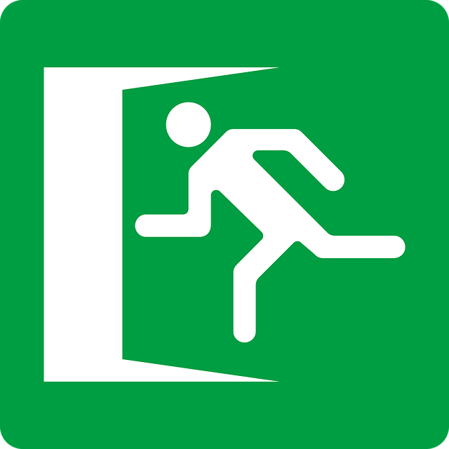 flashlight, emergency