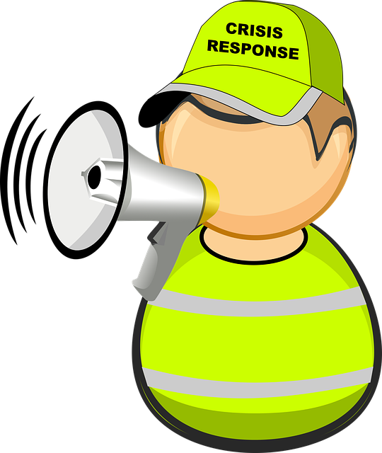 flashlight, emergency
