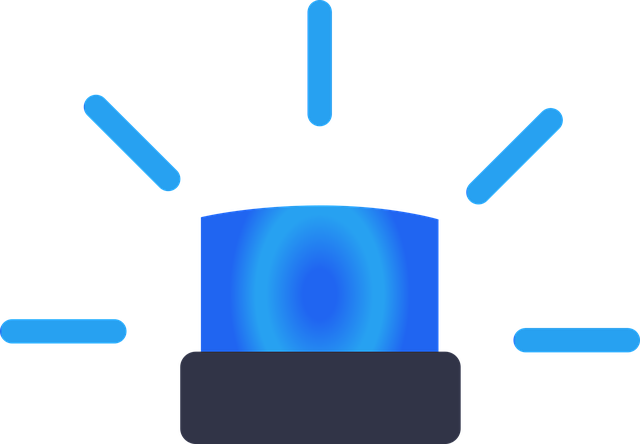 flashlight, emergency