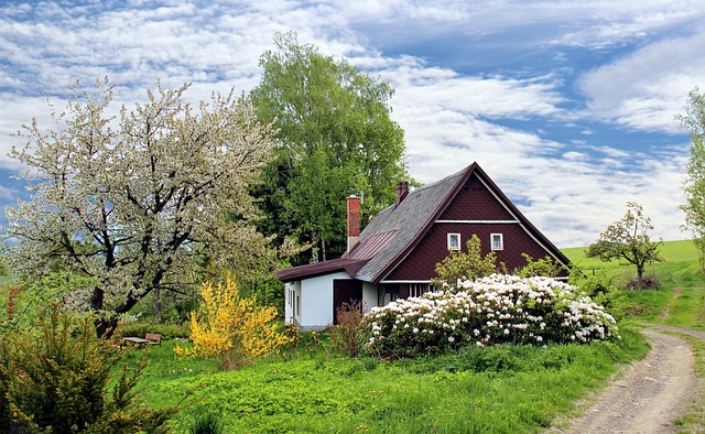 flashlight, home, house