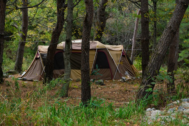 flashlight,camping,outdoors