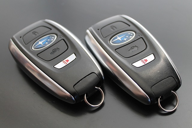 key fob,car fob,button battery