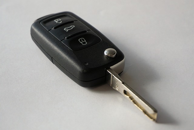 key fob,car fob,button battery