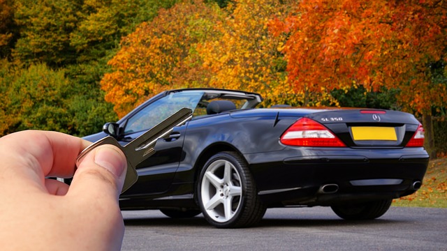 key fob,car fob,button battery