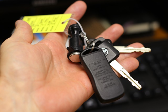 key fob,car fob,button battery