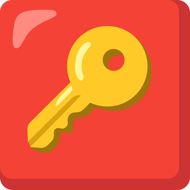 key fob,car fob,button battery