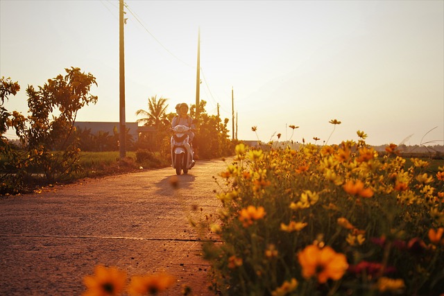 motorcycle,motorbike