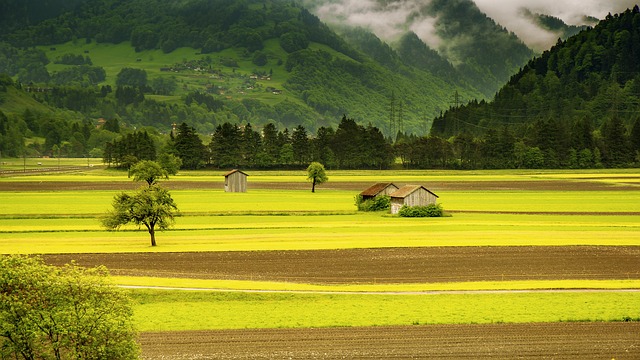 tractor,farm vehicles,farming