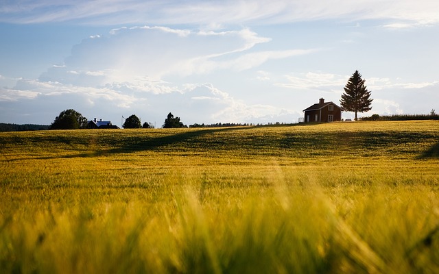 tractor,farm vehicles,farming