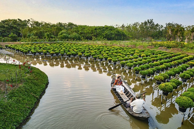 tractor,farm vehicles,farming