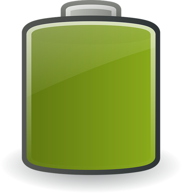 button cell battery, key fob