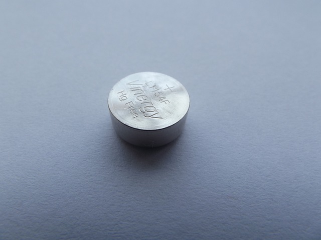 button cell battery, key fob