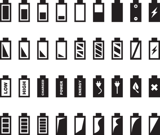 button cell battery, key fob