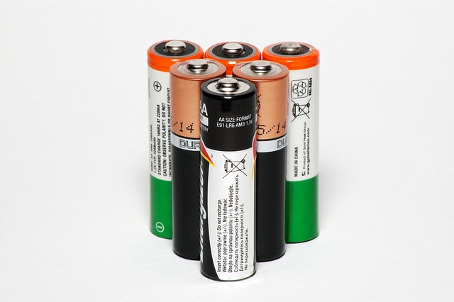 button cell battery, key fob