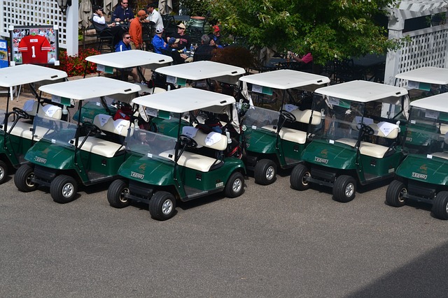 golf-cartgolfgolfing-640x480-23078609.jpeg