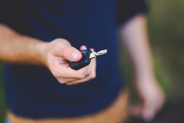 button cell battery, key fob