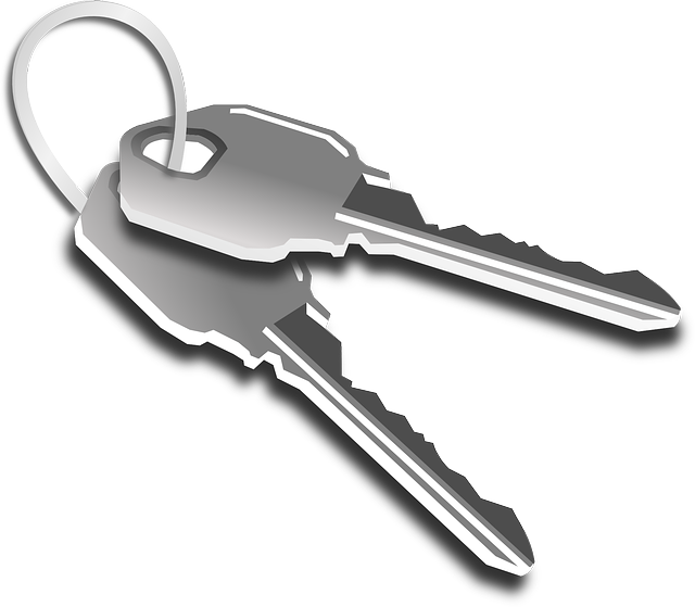 button cell battery, key fob