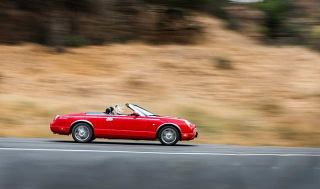 car,cars,sports car,automotive
