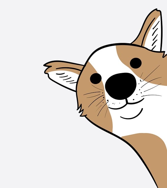 dog-walkingflashlightdog-640x480-20628238.jpeg