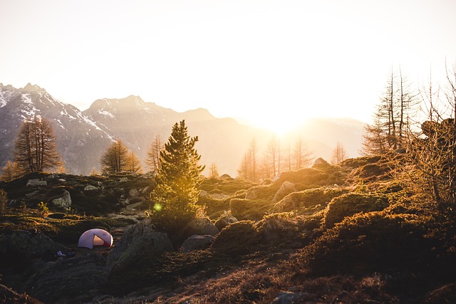 flashlight-camping-outdoors-640x480-12666775.jpeg