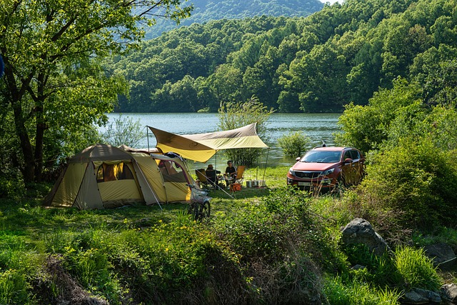 flashlight-camping-outdoors-640x480-78281703.jpeg