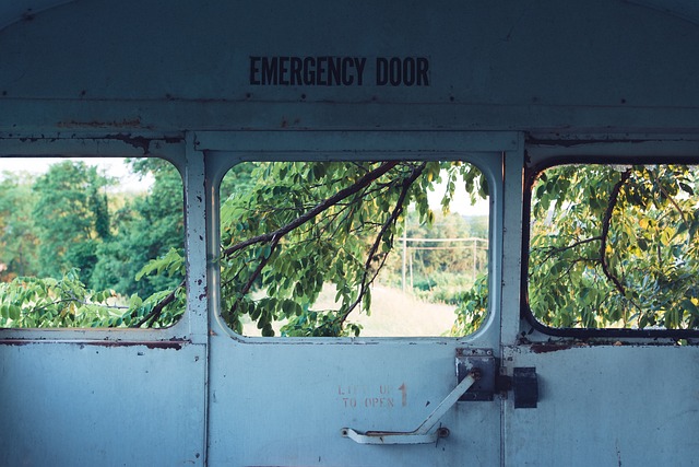flashlight, emergency