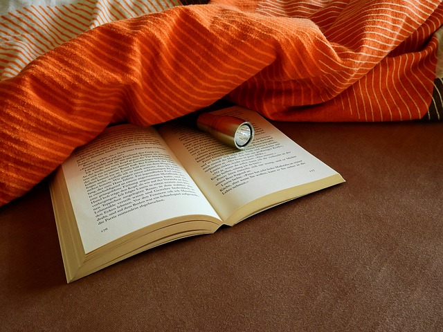 flashlight-emergency-640x480-7076589.jpeg