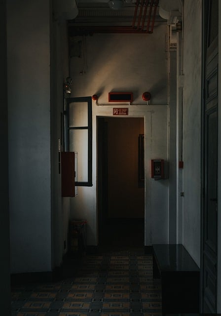 flashlight, emergency