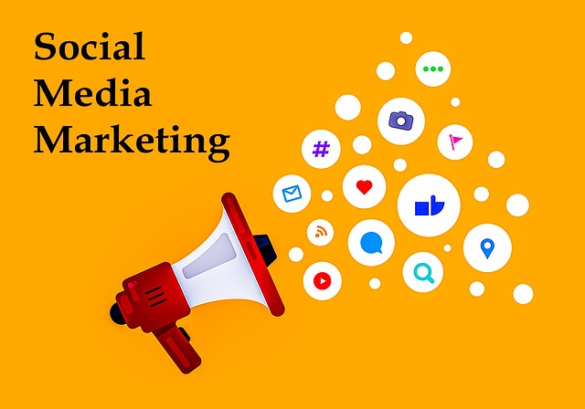 tampa, tampa bay, florida, marketing, business, digital marketing