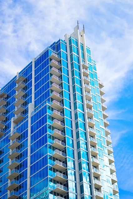 tampa, tampa bay, florida, marketing, business, digital marketing
