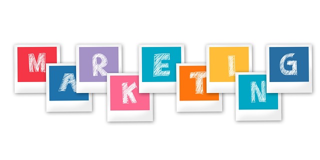 tampa, tampa bay, florida, marketing, business, digital marketing