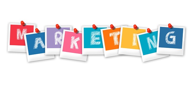 tampa, tampa bay, florida, marketing, business, digital marketing