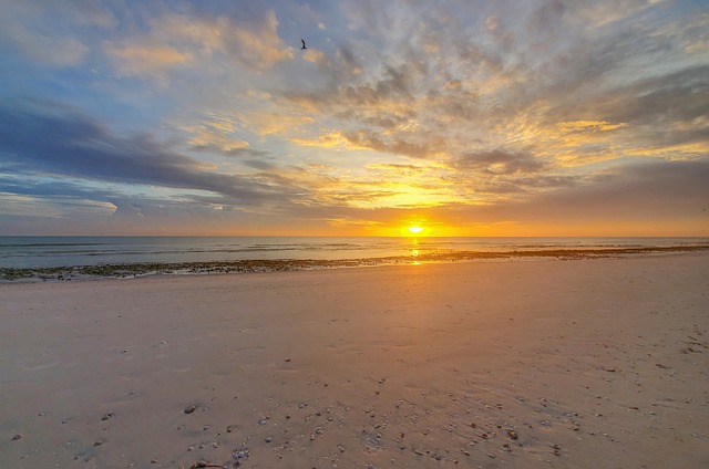 tampa, tampa bay, florida, marketing, business, digital marketing