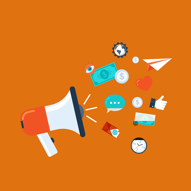 tampa, tampa bay, florida, marketing, business, digital marketing
