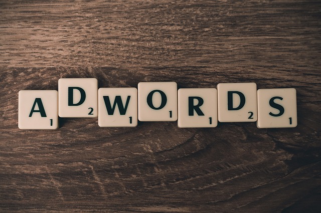 tampa, tampa bay, florida, marketing, business, digital marketing